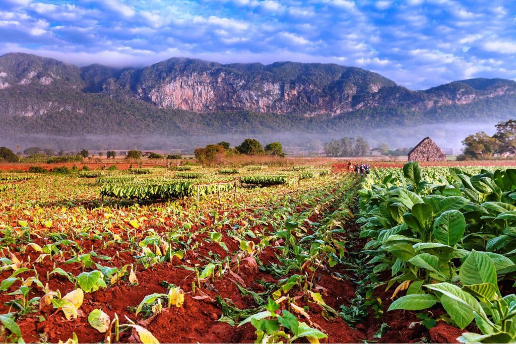 Viñales, Pinar del Río Cuba