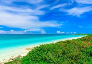 Playa Varadero CubaNeo Travel, Agencia de viajes a Cuba