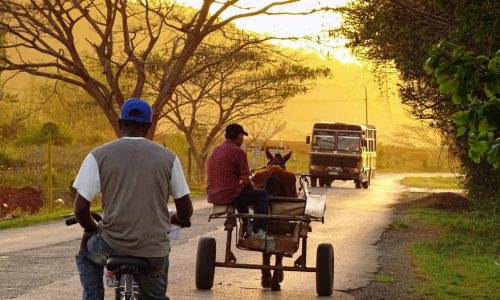Transporte en los campos cubanos la Cuba profunda. viajar a Cuba. Agencia CubaNeo Travel