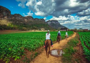 Viajes en grupo organizado excursion caballo en Viñales